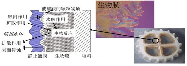 醫(yī)療制藥廢水處理